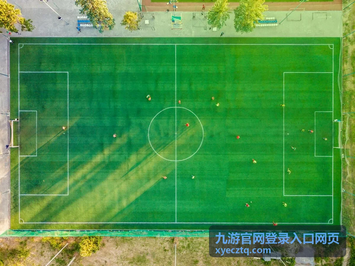 九游官网登录入口网页登录操作指南步骤示意