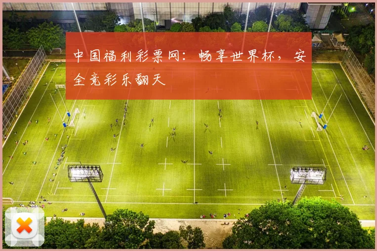 中国福利彩票网:畅享世界杯,安全竞彩乐翻天