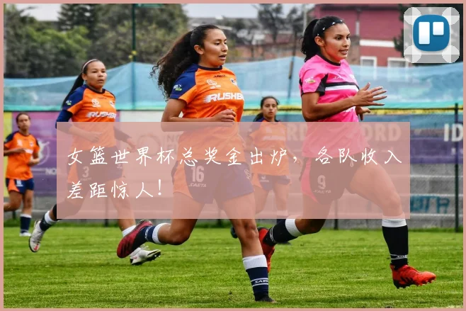 女篮世界杯总奖金出炉,各队收入差距惊人!