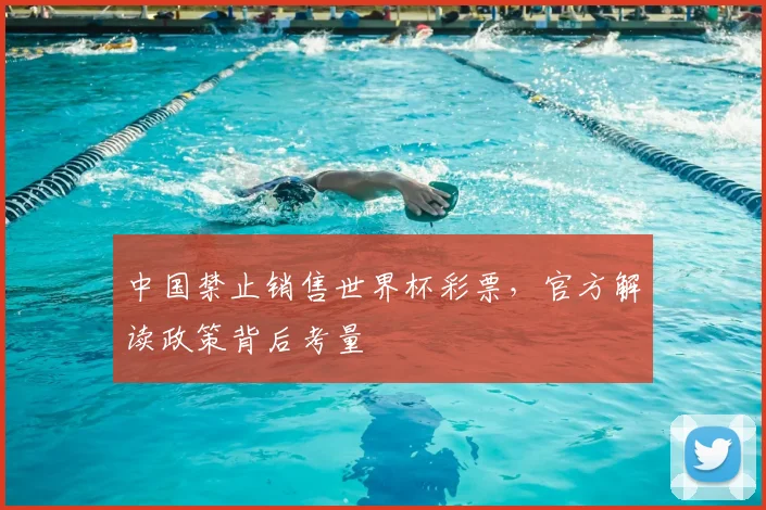 中国禁止销售世界杯彩票,官方解读政策背后考量