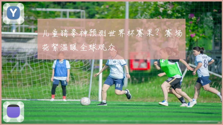儿童猜拳神预测世界杯赛果？赛场花絮温暖全球观众