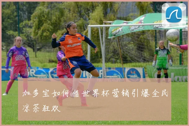 加多宝如何借世界杯营销引爆全民凉茶狂欢