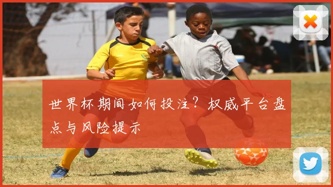 世界杯期间如何投注？权威平台盘点与风险提示