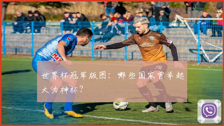 世界杯冠军版图：哪些国家曾举起大力神杯？