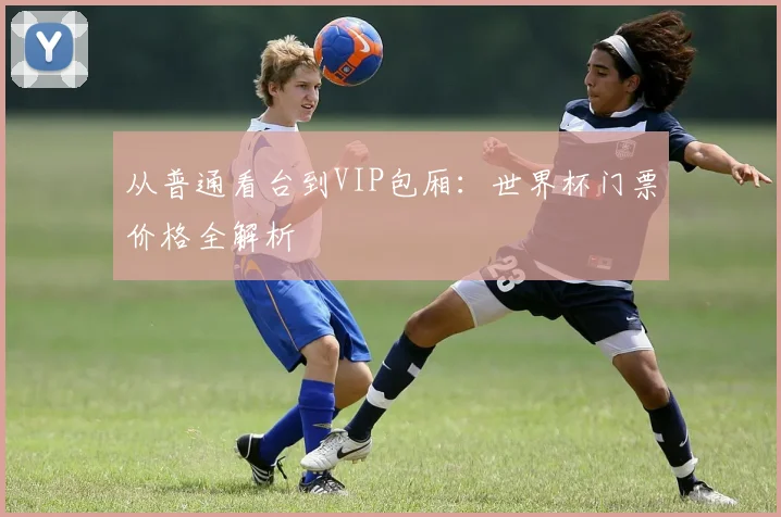从普通看台到VIP包厢：世界杯门票价格全解析