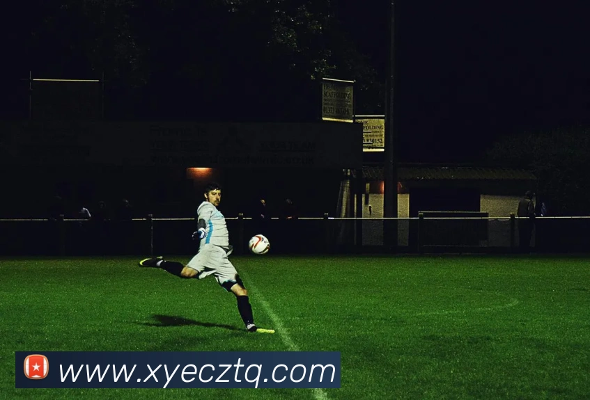 开云在线官网登录入口平台生态图