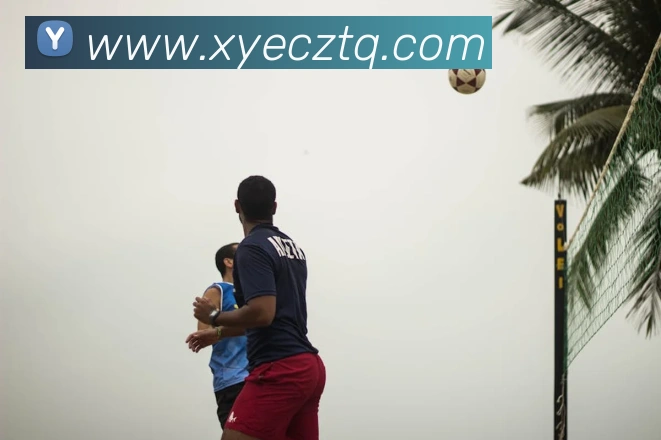 开云在线官网登录入口APP 封面图